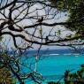 Tobago Cays Grenadine - catamarani noleggio Antille - © Galliano